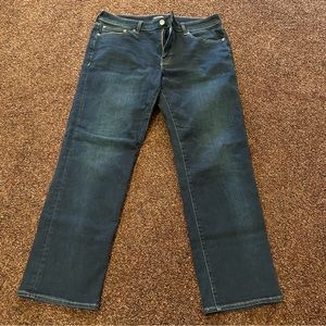 Express Navy Straight Denim Jeans | 34 x 30